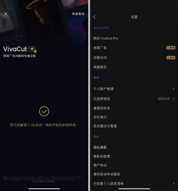 VivaCut 3.9.1 专业级剪辑软件 VIP版插图 VivaCut 3.9.1 专业级剪辑软件 VIP版插图