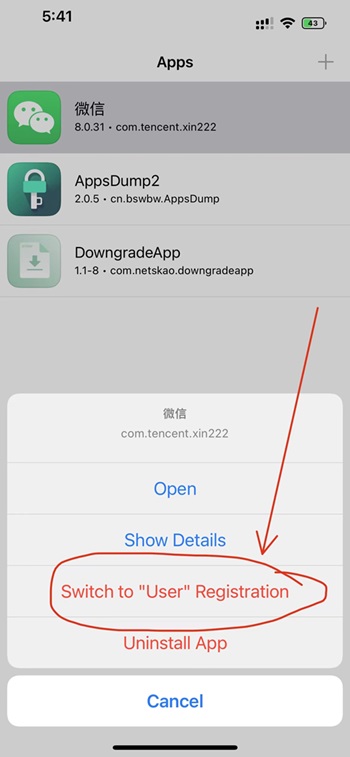 苹果巨魔微信 麦克风与CallKit不成功插图 苹果巨魔微信 麦克风与CallKit不成功插图