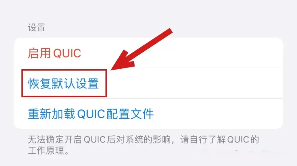 iPhone一键开启QUIC,提升手机网速插图5
