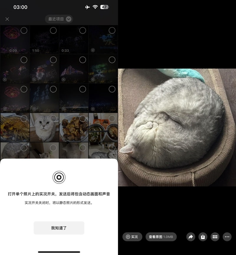 微信插件:强开私聊发送Live图片插图