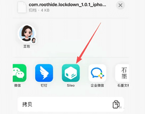 lockDown 拦截Coruna漏洞插件插图 lockDown 拦截Coruna漏洞插件插图